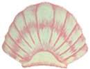 Of Wall Things: Sea Shell Bulletin Board
