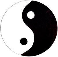 Of Wall Things: Yin-Yang bulletin board